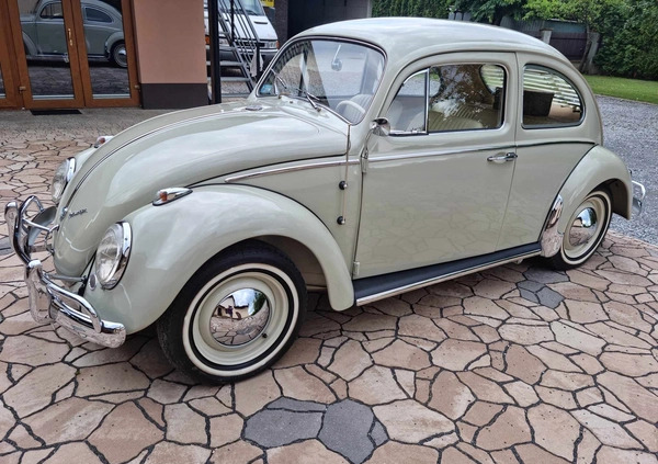 Volkswagen Garbus cena 134000 przebieg: 250, rok produkcji 1962 z Łuków małe 781